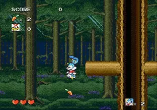 Image n° 8 - screenshots  : Tiny Toon Adventures - Buster's Hidden Treasure