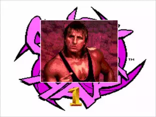 Image n° 3 - screenshots  : WWF RAW