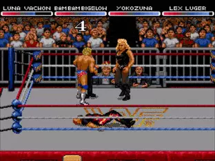 Image n° 4 - screenshots  : WWF RAW