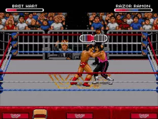 Image n° 5 - screenshots  : WWF RAW
