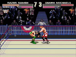 Image n° 5 - screenshots  : WWF Wrestlemania Arcade