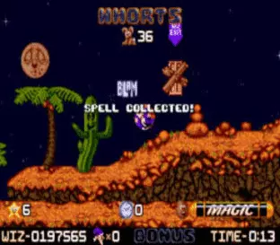 Image n° 3 - screenshots : Wiz 'n' Liz Image n° 3 - screenshots : Wiz 'n' Liz