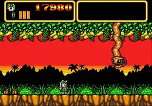Image n° 4 - screenshots  : Wonder Boy III - Monster Lair