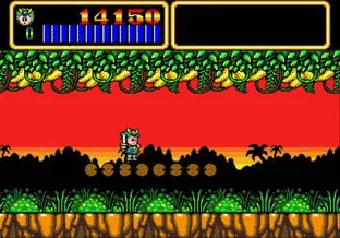 Image n° 5 - screenshots  : Wonder Boy III - Monster Lair