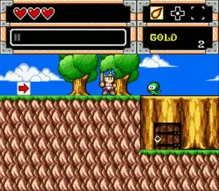 Image n° 5 - screenshots  : Wonder Boy In Monster World