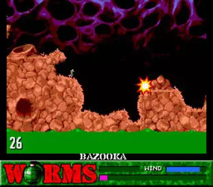 Image n° 7 - screenshots  : Worms