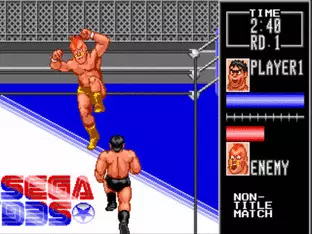 Image n° 8 - screenshots  : Wrestle War