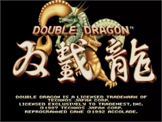 Image n° 10 - titles : Double Dragon