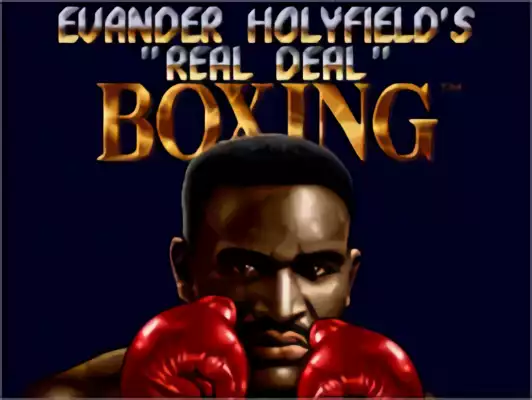 Image n° 10 - titles : Evander Holyfield's Real Deal Boxing