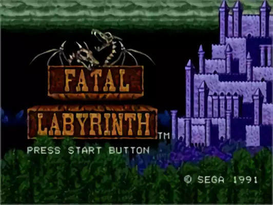 Image n° 10 - titles : Fatal Labyrinth