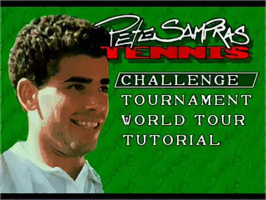 Image n° 9 - titles : Pete Sampras Tennis