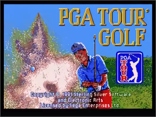 Image n° 10 - titles : PGA Tour Golf