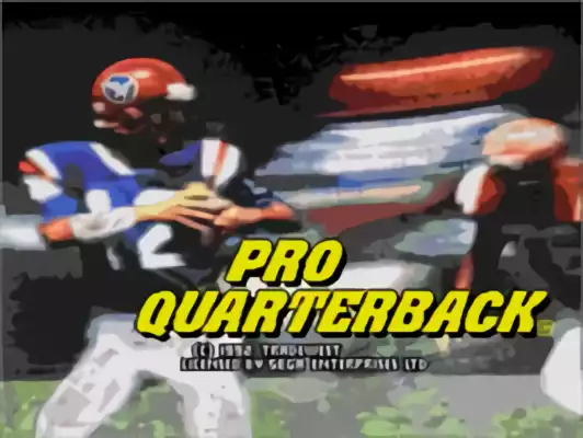 Image n° 5 - titles : Pro Quarterback