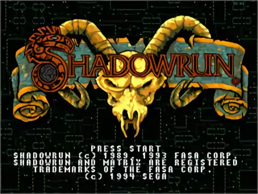 Image n° 4 - titles : Shadowrun