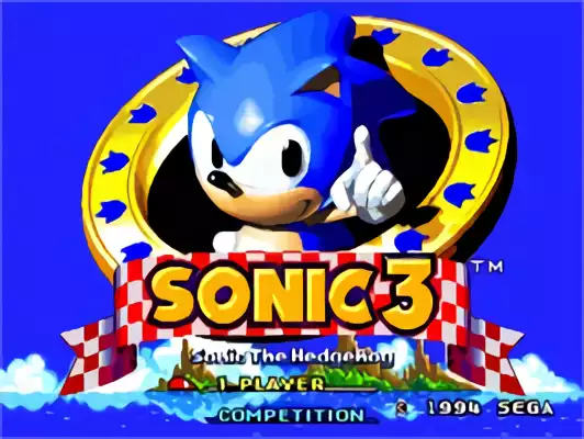 Image n° 11 - titles : Sonic the Hedgehog 3
