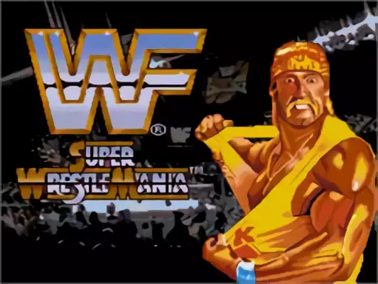 Image n° 10 - titles : WWF Super Wrestlemania