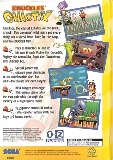 Image n° 2 - boxback : Knuckles' Chaotix