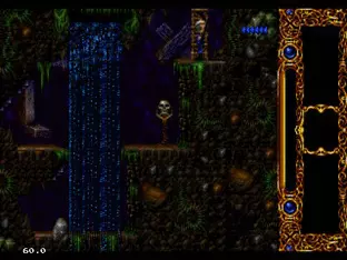 Image n° 8 - screenshots  : Blackthorne