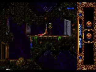 Image n° 6 - screenshots  : Blackthorne