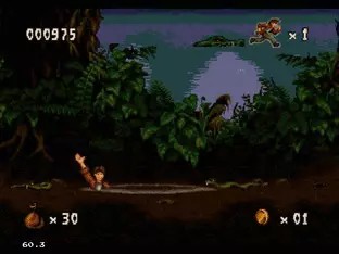 Image n° 6 - screenshots  : Pitfall - The Mayan Adventure