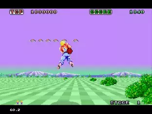 Image n° 9 - screenshots  : Space Harrier