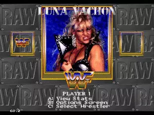 Image n° 9 - screenshots  : WWF RAW