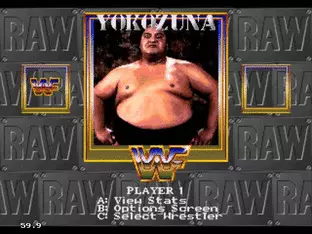 Image n° 8 - screenshots  : WWF RAW