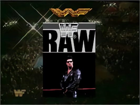 Image n° 10 - titles : WWF RAW