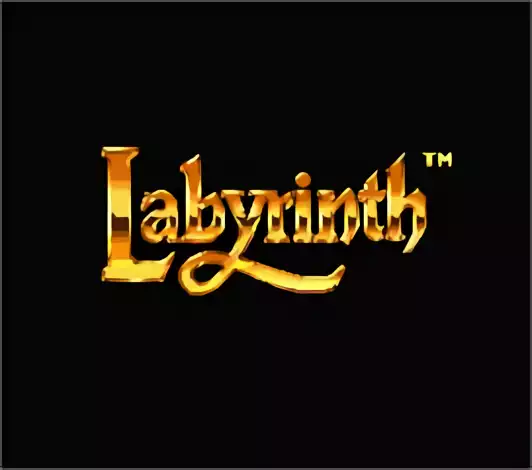 Image n° 2 - titles : Labyrinth