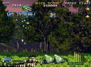 Image n° 5 - screenshots  : Blazing Star