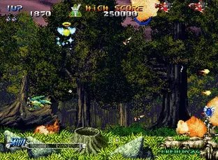 Image n° 6 - screenshots  : Blazing Star