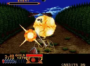 Play Arcade Crossed Swords (ALM-002)(ALH-002) Online in your