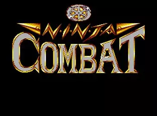 Image n° 3 - screenshots  : Ninja Combat (NGH-009)