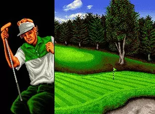 Image n° 9 - screenshots  : Top Player's Golf (NGM-003)(NGH-003)