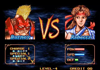 Image n° 12 - versus : Double Dragon