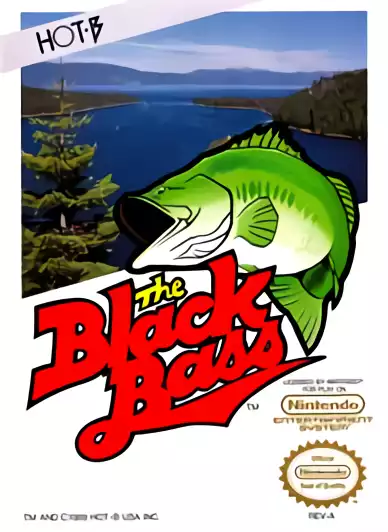 Image n° 1 - box : Black Bass USA, The