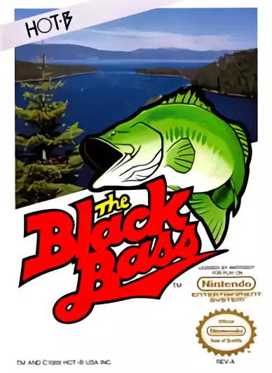 Image n° 1 - box : Black Bass 2, The