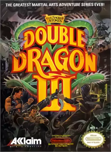 Image n° 1 - box : Double Dragon III - The Rosetta Stone
