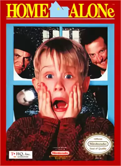 Image n° 1 - box : Home Alone