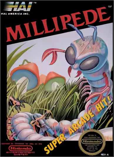 Image n° 1 - box : Millipede