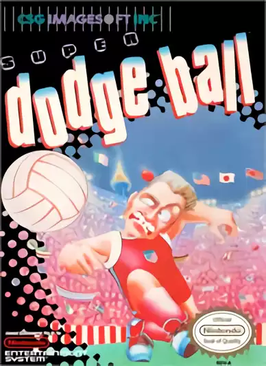 Image n° 1 - box : Super Dodge Ball