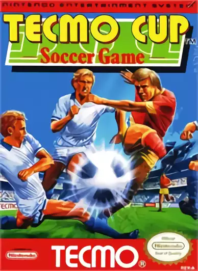 Image n° 1 - box : TECMO CUP - Soccer Game