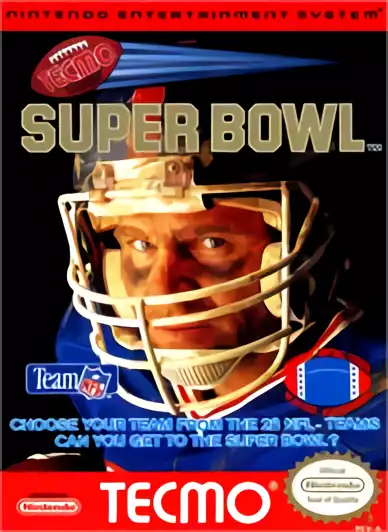 Image n° 1 - box : Tecmo Super Bowl