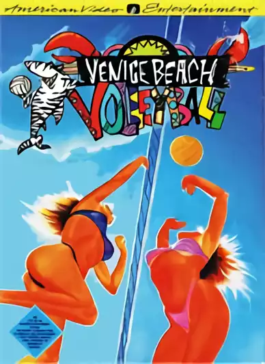 Image n° 1 - box : Venice Beach Volleyball