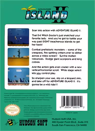 Image n° 2 - boxback : Adventure Island II