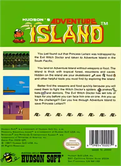 Image n° 2 - boxback : Adventure Island