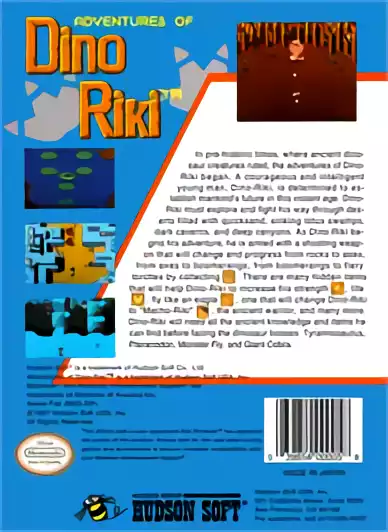 Image n° 2 - boxback : Adventures of Dino Riki