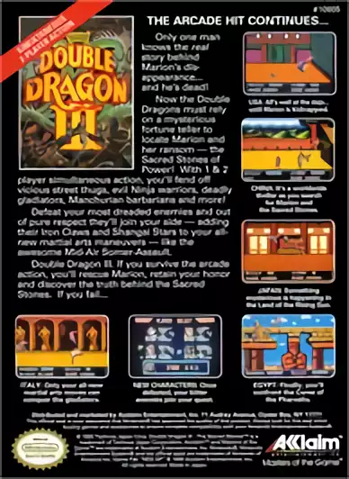 Image n° 2 - boxback : Double Dragon III - The Rosetta Stone