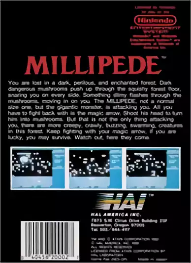 Image n° 2 - boxback : Millipede