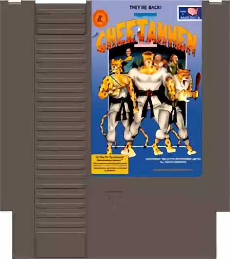 Image n° 3 - carts : CheetahMen II